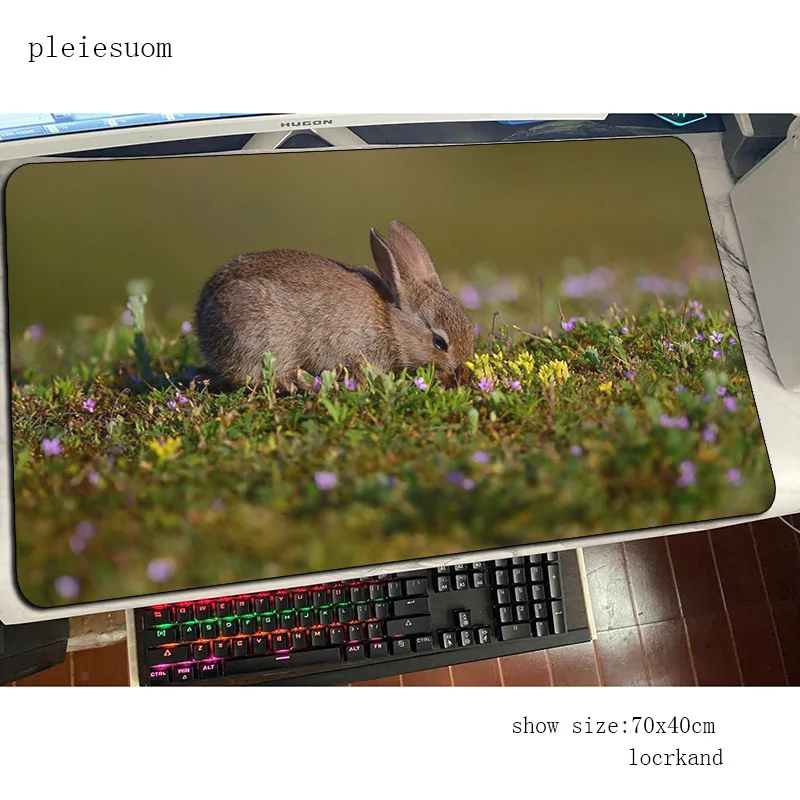 Konijn schattige muismat beste - Gaming Keyboard Best recensie en prijs